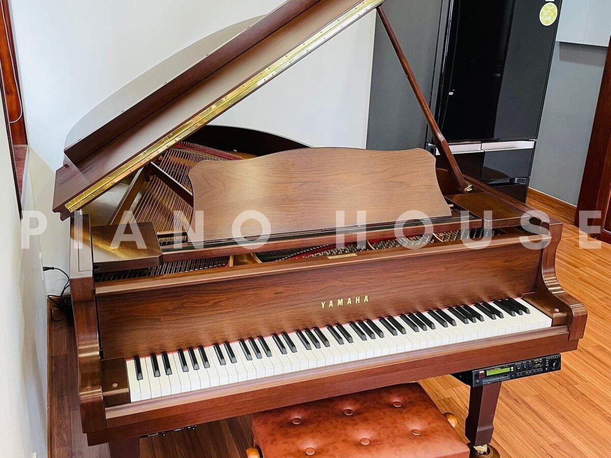 Hình ảnh chi tiết YAMAHA C3A WN AutoPlay góc chụp 2